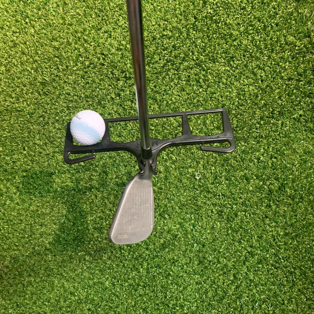 Illustrated as a ball retriever
